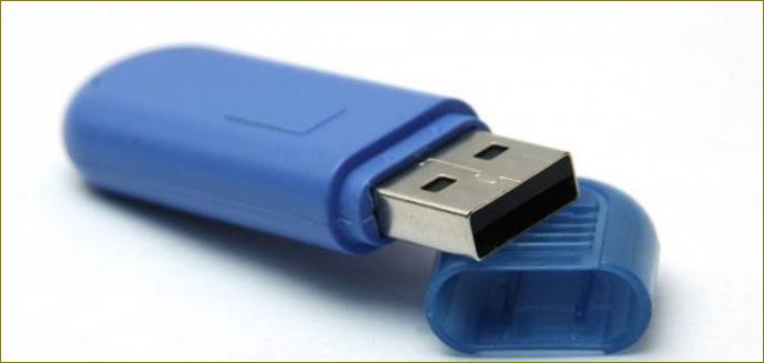 Mėlynas USB raktas