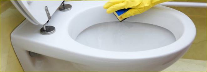 10 geriausių tualetų valymo priemonių