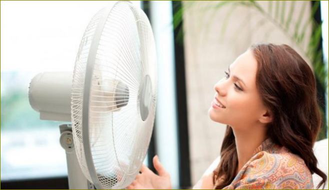 Geriausi ventiliatoriai namų reitingui