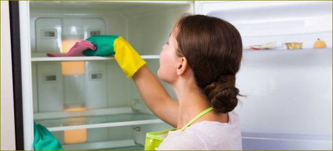Kaip greitai ir tinkamai atitirpinti šaldytuvą-šaldiklį?