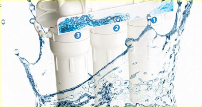 Kuris yra geriausias kriauklės vandens filtras?