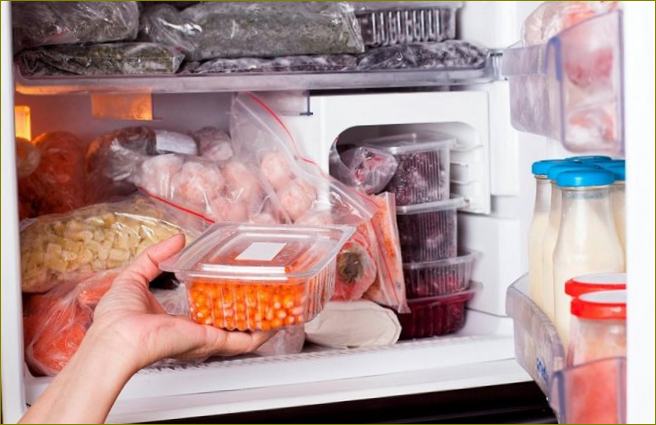 Profesionalų patarimai, kaip atitirpdyti šaldytuvą