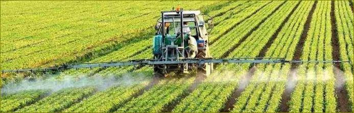 nuolatinio veikimo herbicidai