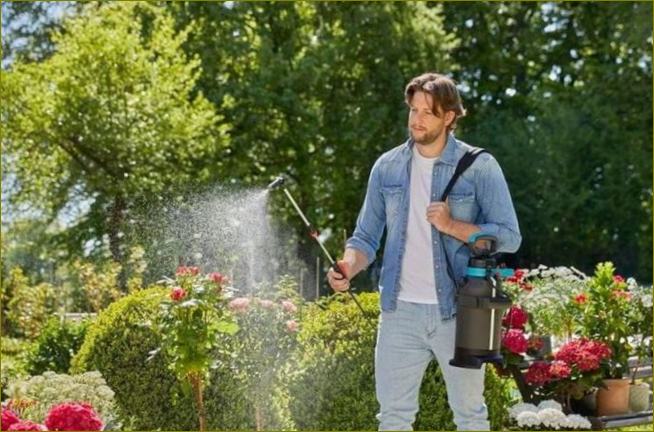 Kurį akumuliatorinį sodo purkštuvą geriau pirkti?