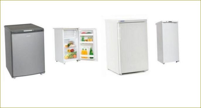 mažų šaldytuvų įvertinimas