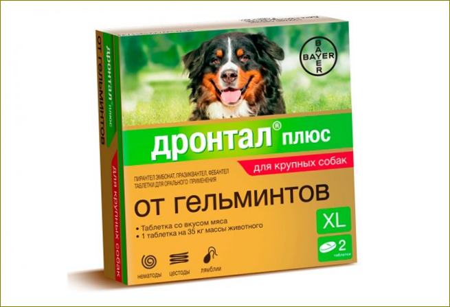 Drontal Plus tabletės šunims nuo kirminų