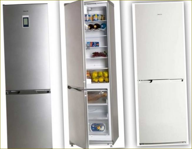 Geriausių šaldytuvų 