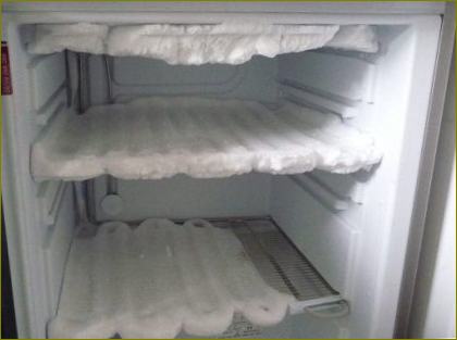 Šaltis ant šaldytuvo