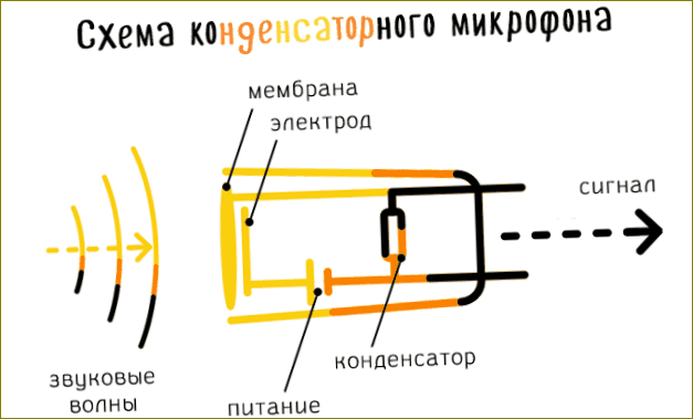 Pagrindinės kondensatoriaus mikrofono konstrukcijos schema
