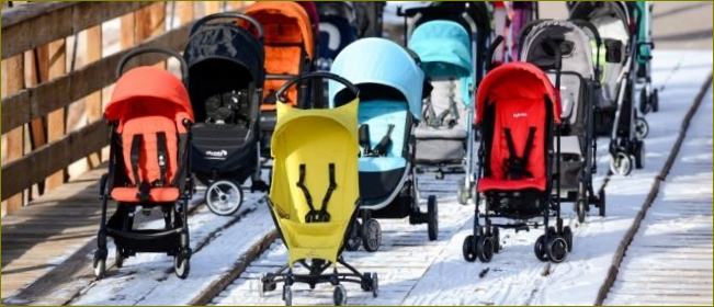 Pigiausi aukščiausios klasės vaikiški vežimėliai vaikams: 2022 geriausi modeliai pagal patyrusių mamų atsiliepimus, privalumai ir trūkumai, kainų palyginimas