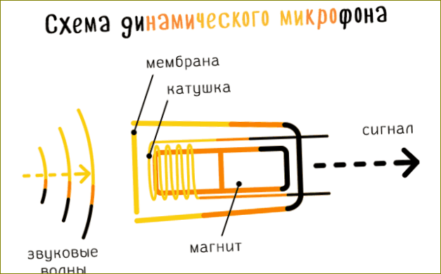 Tipiško dinaminio mikrofono schema