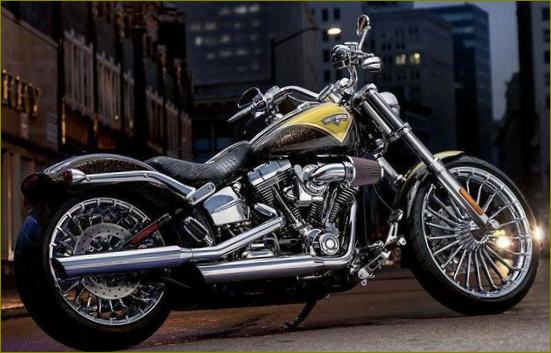 Nuotrauka Softail Deluxe