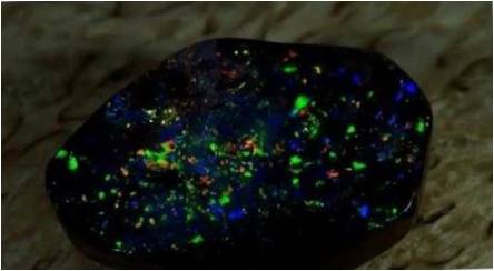 Black Opal: Ką atrodo, savybės ir taikymo sritis