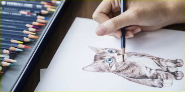 Profesionalūs piešimo pieštukai: grafito, akvarelės, spalvoti pieštukai. Kurie yra geriausi