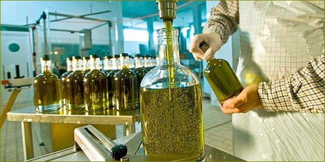 alyvuogių aliejaus gamyba