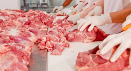Viskas apie iš mėsos gamybos technologo profesijos