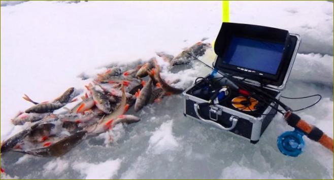 Povandeninis fotoaparatas žvejybai