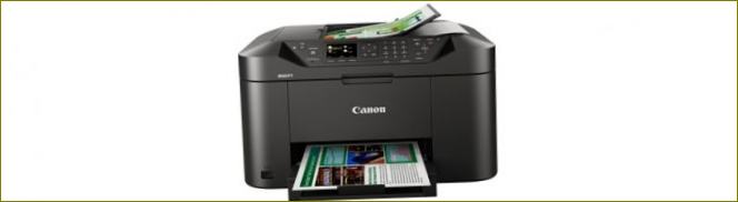 Daugialypės terpės spausdintuvų pasirinkimas dėl pigių papildymų