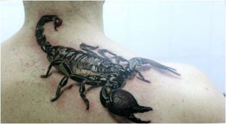 Ką tatuiruotė su skorpionais ir tai, ko jie įvyksta?