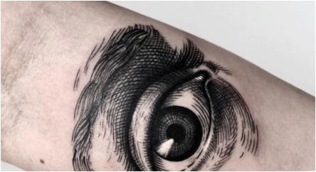 Viskas apie Tattoo  Eye 